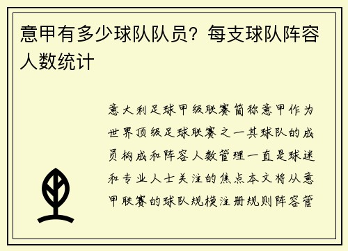 意甲有多少球队队员？每支球队阵容人数统计